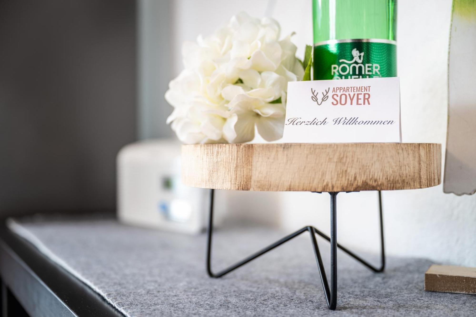 Apartmán Soyer *